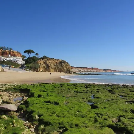 Pomba Branca Lejlighed *